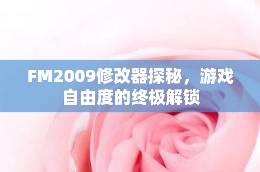 FM2009修改器探秘图片
