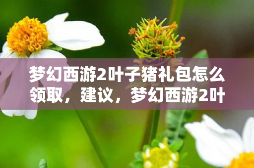 梦幻西游2叶子猪礼包怎么领取，建议，梦幻西游2叶子猪钻石特权礼包悉数登场，豪华奖励一网打尽