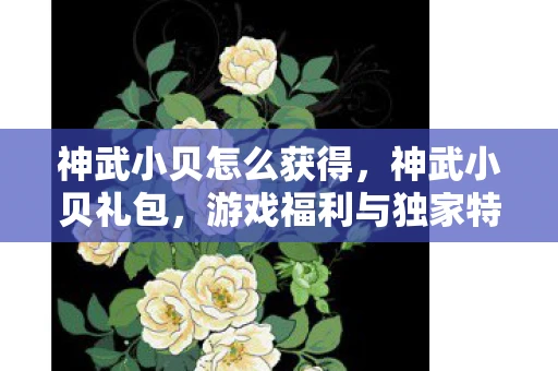 神武小贝怎么获得，神武小贝礼包，游戏福利与独家特权