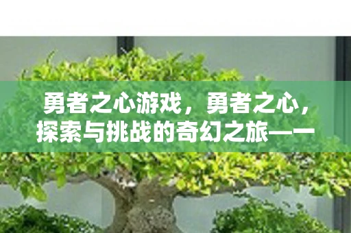 勇者之心游戏，勇者之心，探索与挑战的奇幻之旅—一次充满未知与冒险的旅程