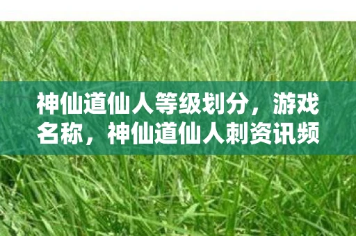 神仙道仙人等级划分，游戏名称，神仙道仙人刺资讯频道