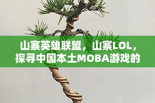 山寨英雄联盟，山寨LOL，探寻中国本土MOBA游戏的崛起与挑战