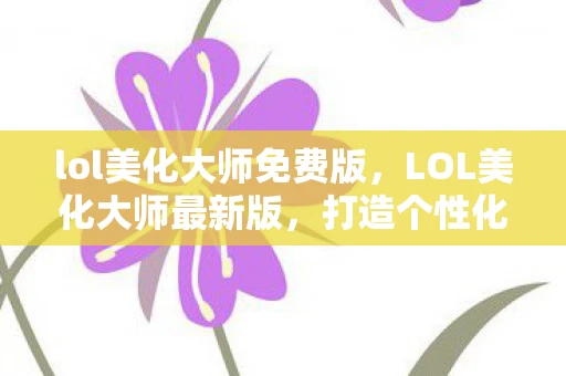 lol美化大师免费版，LOL美化大师最新版，打造个性化游戏体验的利器