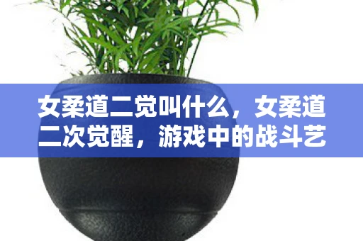 女柔道二觉叫什么，女柔道二次觉醒，游戏中的战斗艺术与激情