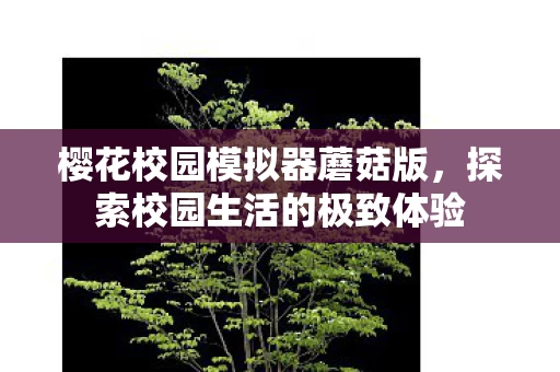 探索校园生活的极致体验图片
