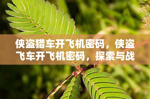 侠盗猎车开飞机密码，侠盗飞车开飞机密码，探索与战斗的空中霸主
