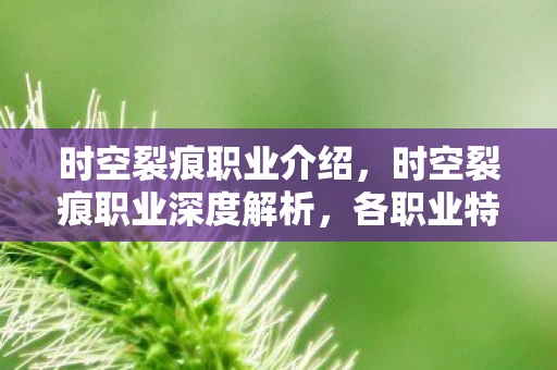 时空裂痕职业介绍，时空裂痕职业深度解析，各职业特色与游戏玩法资讯