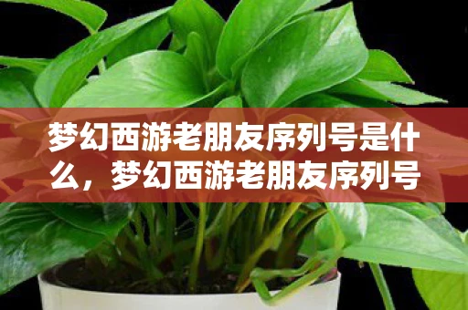梦幻西游老朋友序列号是什么，梦幻西游老朋友序列号，重聚梦幻西游，与老朋友共赴新征程