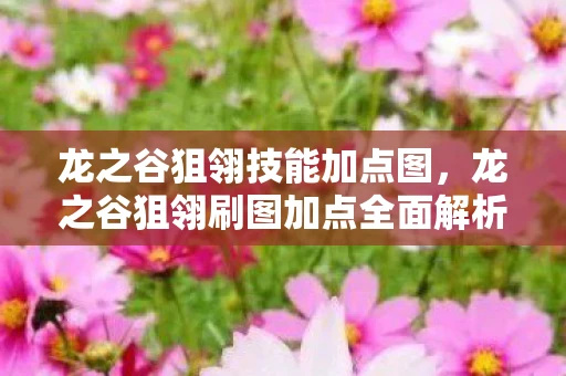 龙之谷狙翎技能加点图，龙之谷狙翎刷图加点全面解析，打造你的专属角色攻略