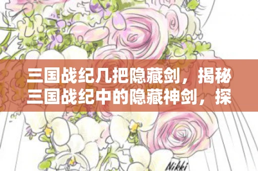 三国战纪几把隐藏剑，揭秘三国战纪中的隐藏神剑，探寻神秘力量的源泉