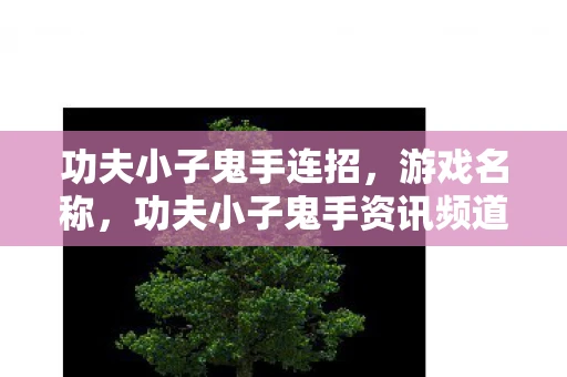 功夫小子鬼手连招，游戏名称，功夫小子鬼手资讯频道