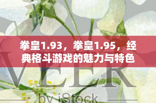 拳皇1.93，拳皇1.95，经典格斗游戏的魅力与特色