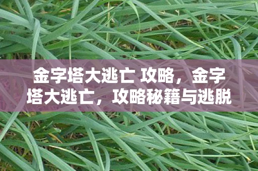 金字塔大逃亡 攻略，金字塔大逃亡，攻略秘籍与逃脱技巧