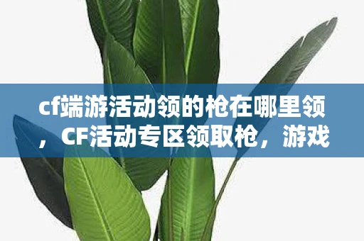 cf端游活动领的枪在哪里领，CF活动专区领取枪，游戏玩家不容错过的福利盛宴