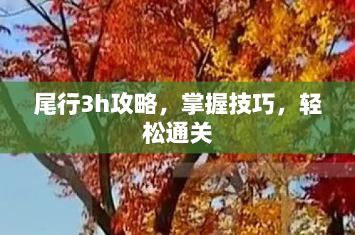 尾行3h攻略图片
