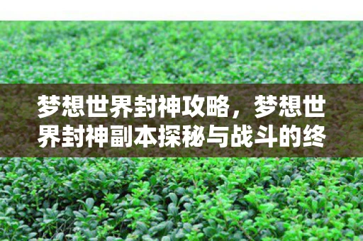 梦想世界封神攻略，梦想世界封神副本探秘与战斗的终极挑战