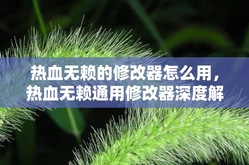 热血无赖的修改器怎么用，热血无赖通用修改器深度解析，全能游戏修改器的奥秘与优势