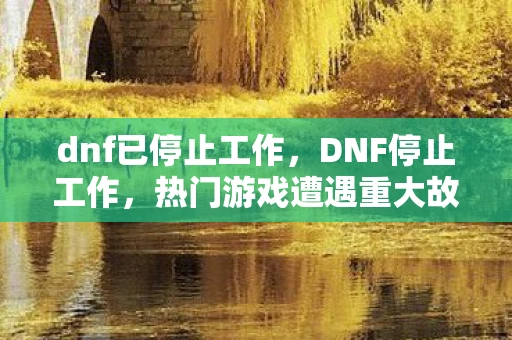 dnf已停止工作，DNF停止工作，热门游戏遭遇重大故障