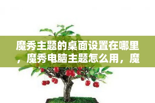 魔秀主题的桌面设置在哪里，魔秀电脑主题怎么用，魔秀电脑主题的安装与使用方法详解