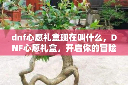 dnf心愿礼盒现在叫什么，DNF心愿礼盒，开启你的冒险之旅