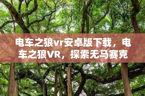 电车之狼vr安卓版下载，电车之狼VR，探索无马赛克的世界