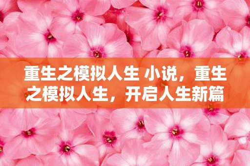 重生之模拟人生 小说，重生之模拟人生，开启人生新篇章