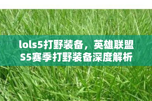 lols5打野装备，英雄联盟S5赛季打野装备深度解析