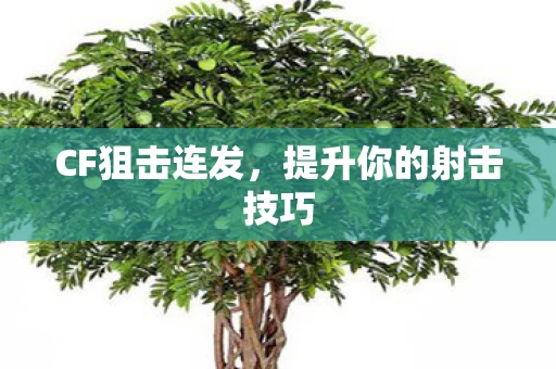 提升你的射击技巧图片