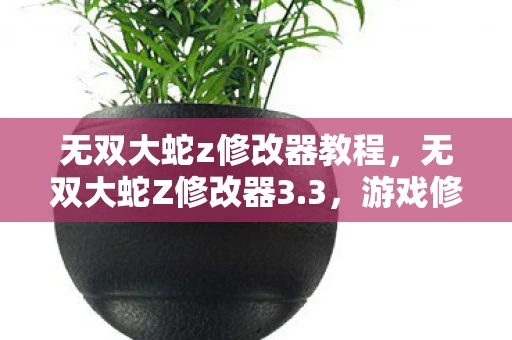 无双大蛇z修改器教程，无双大蛇Z修改器3.3，游戏修改的利器
