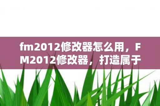 fm2012修改器怎么用，FM2012修改器，打造属于你的足球世界