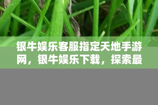 银牛娱乐客服指定天地手游网，银牛娱乐下载，探索最新版本的银牛娱乐APP v5.6.0下载资讯