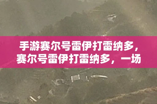 手游赛尔号雷伊打雷纳多，赛尔号雷伊打雷纳多，一场精灵的荣耀与勇气的对决