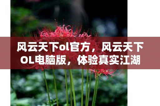 风云天下ol官方，风云天下OL电脑版，体验真实江湖的角色扮演游戏