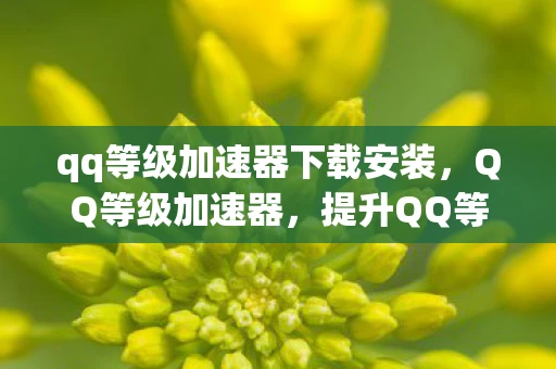 qq等级加速器下载安装，QQ等级加速器，提升QQ等级利器，快速解锁更多特权