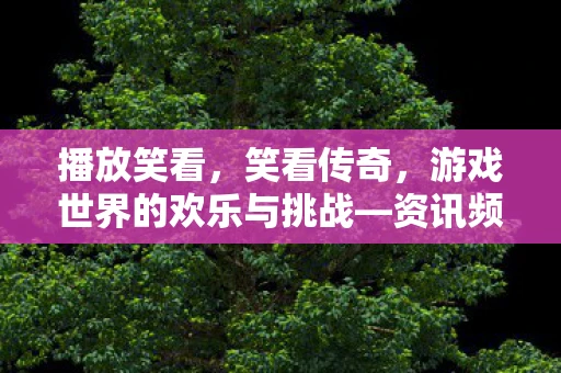 播放笑看，笑看传奇，游戏世界的欢乐与挑战—资讯频道手册