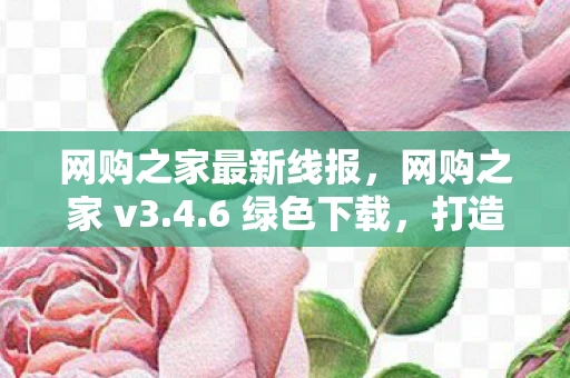 网购之家最新线报，网购之家 v3.4.6 绿色下载，打造便捷购物体验的新篇章