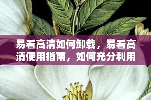 易看高清如何卸载，易看高清使用指南，如何充分利用这款视频应用