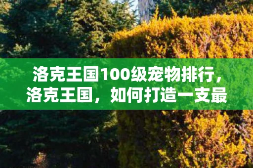 洛克王国100级宠物排行，洛克王国，如何打造一支最强宠物战队—以100级账号为核心