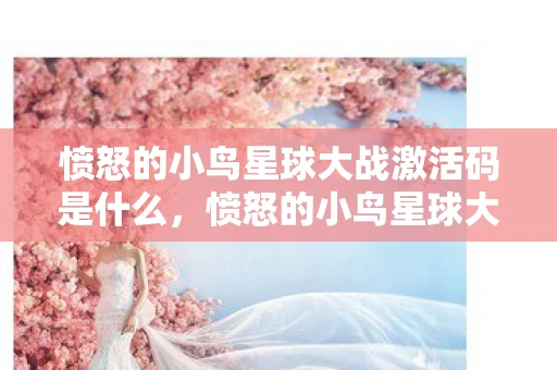 愤怒的小鸟星球大战激活码是什么，愤怒的小鸟星球大战激活码，探索之旅