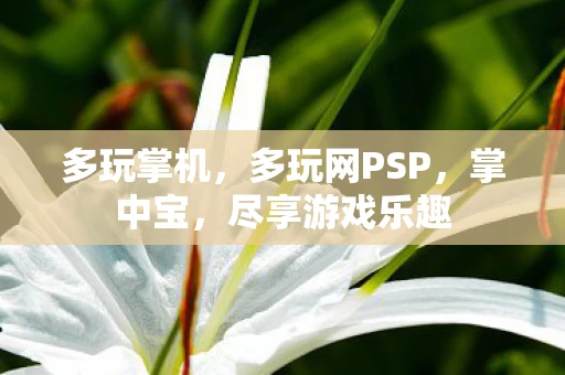 多玩掌机，多玩网PSP，掌中宝，尽享游戏乐趣