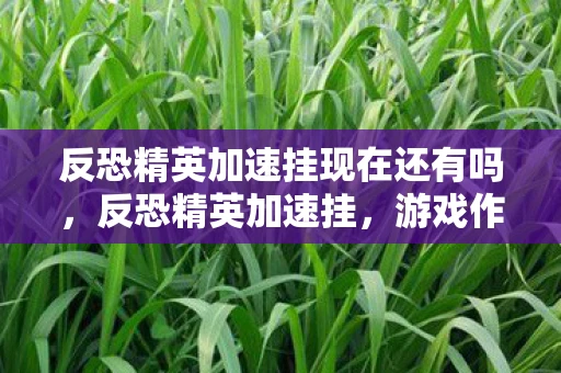 反恐精英加速挂现在还有吗，反恐精英加速挂，游戏作弊现象的深度解析