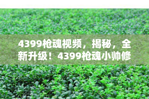4399枪魂视频，揭秘，全新升级！4399枪魂小帅修改器1.0最新版震撼发布！