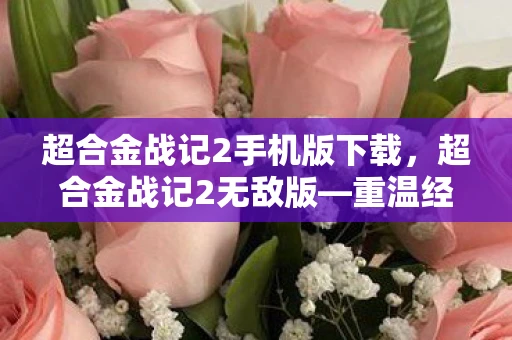 超合金战记2手机版下载，超合金战记2无敌版—重温经典，再战辉煌