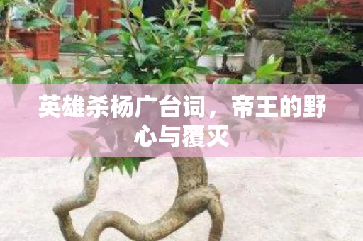 帝王的野心与覆灭图片