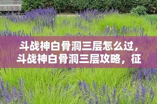 斗战神白骨洞三层怎么过，斗战神白骨洞三层攻略，征服终极挑战的秘诀