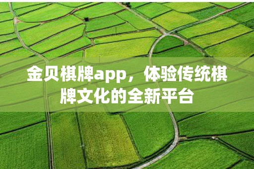 金贝棋牌app,体验传统棋牌文化的全新平台 金贝棋牌app,体验传统棋牌文化的全新平台