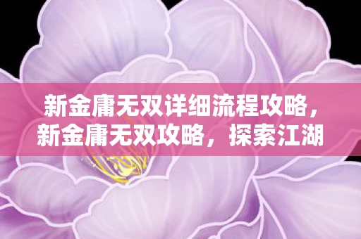 新金庸无双详细流程攻略，新金庸无双攻略，探索江湖世界的终极指南