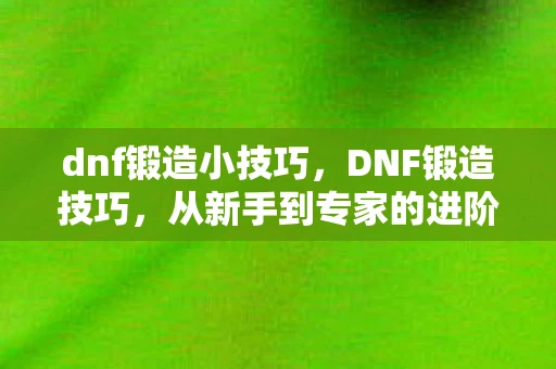 dnf锻造小技巧，DNF锻造技巧，从新手到专家的进阶之路