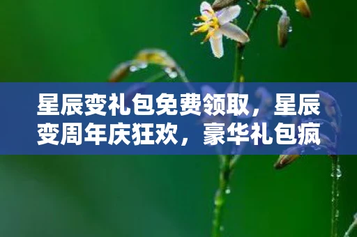 星辰变礼包免费领取，星辰变周年庆狂欢，豪华礼包疯狂放送！