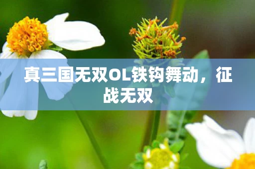 真三国无双OL铁钩舞动图片